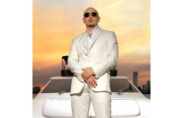 pitbull_238443.jpg