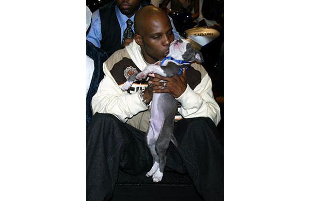 dmx.jpg