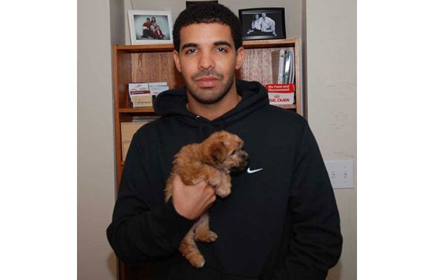 drake.jpg