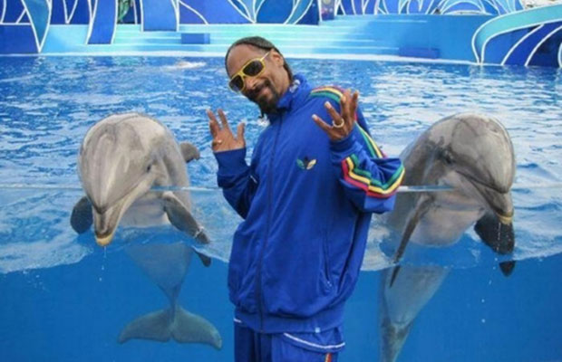snoop.jpg